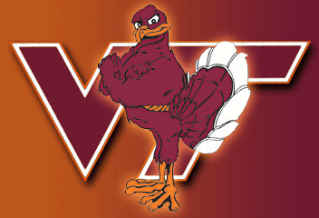 Virginia Tech Hokie Bird